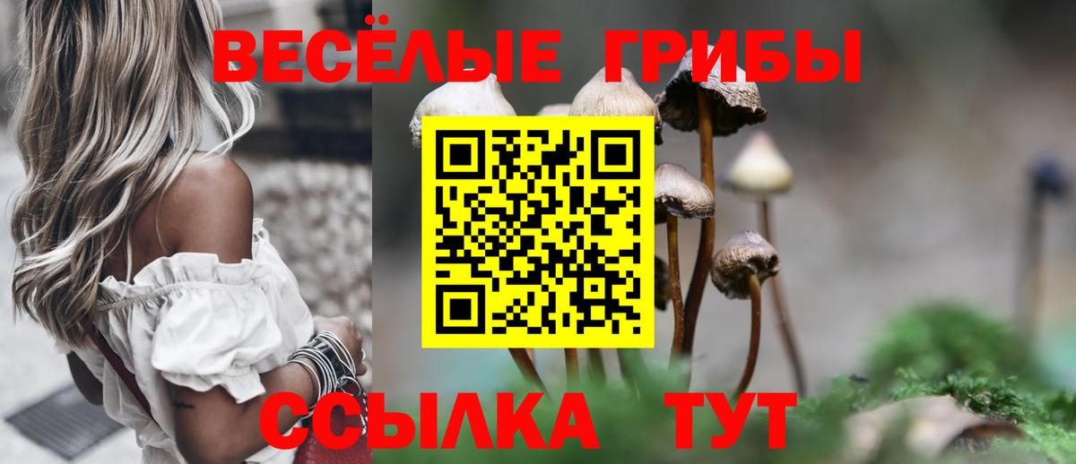 Дальнегорск  Псилоцибиновые грибы Magic Shrooms  Вход с VPN 