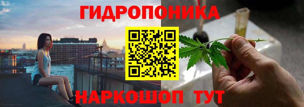 Канабис планчик  Шишки марихуана MAZAR  Канабис план  Каннабис Bruce Banner  Вход с VPN  Дальнегорск 